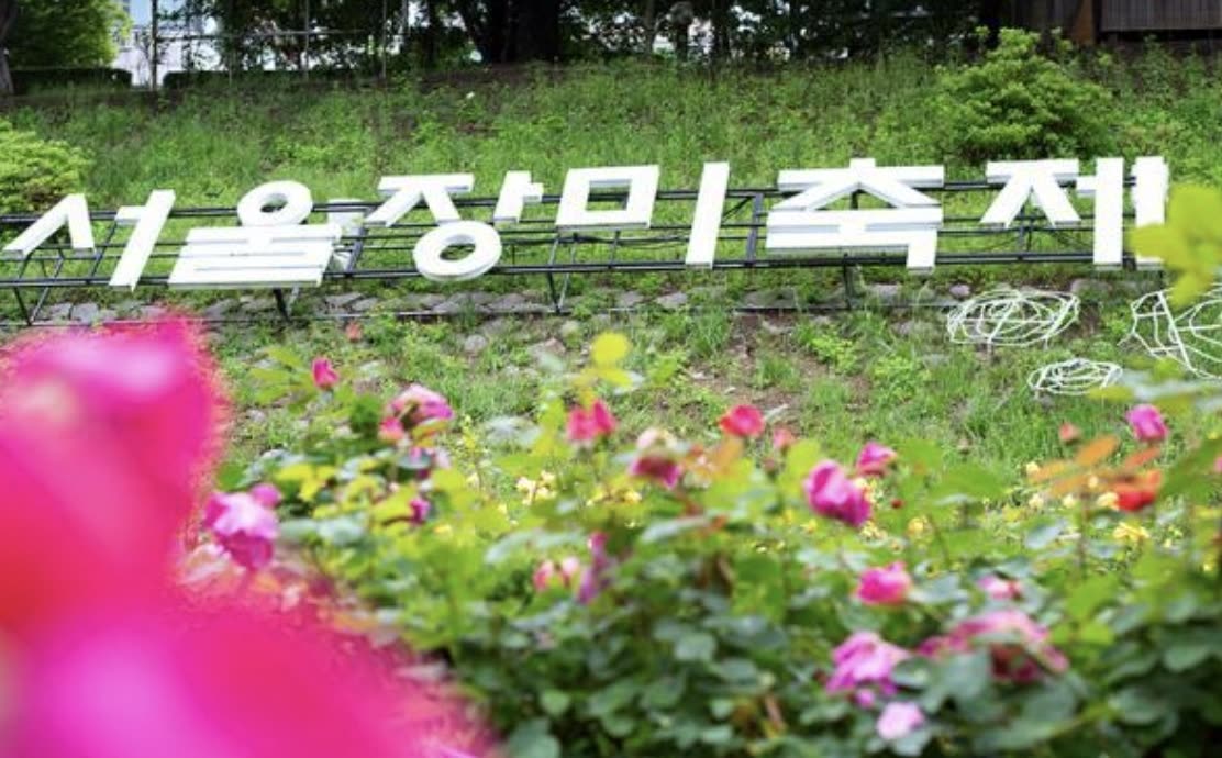 중랑 서울장미축제 장미터널 이미지 2