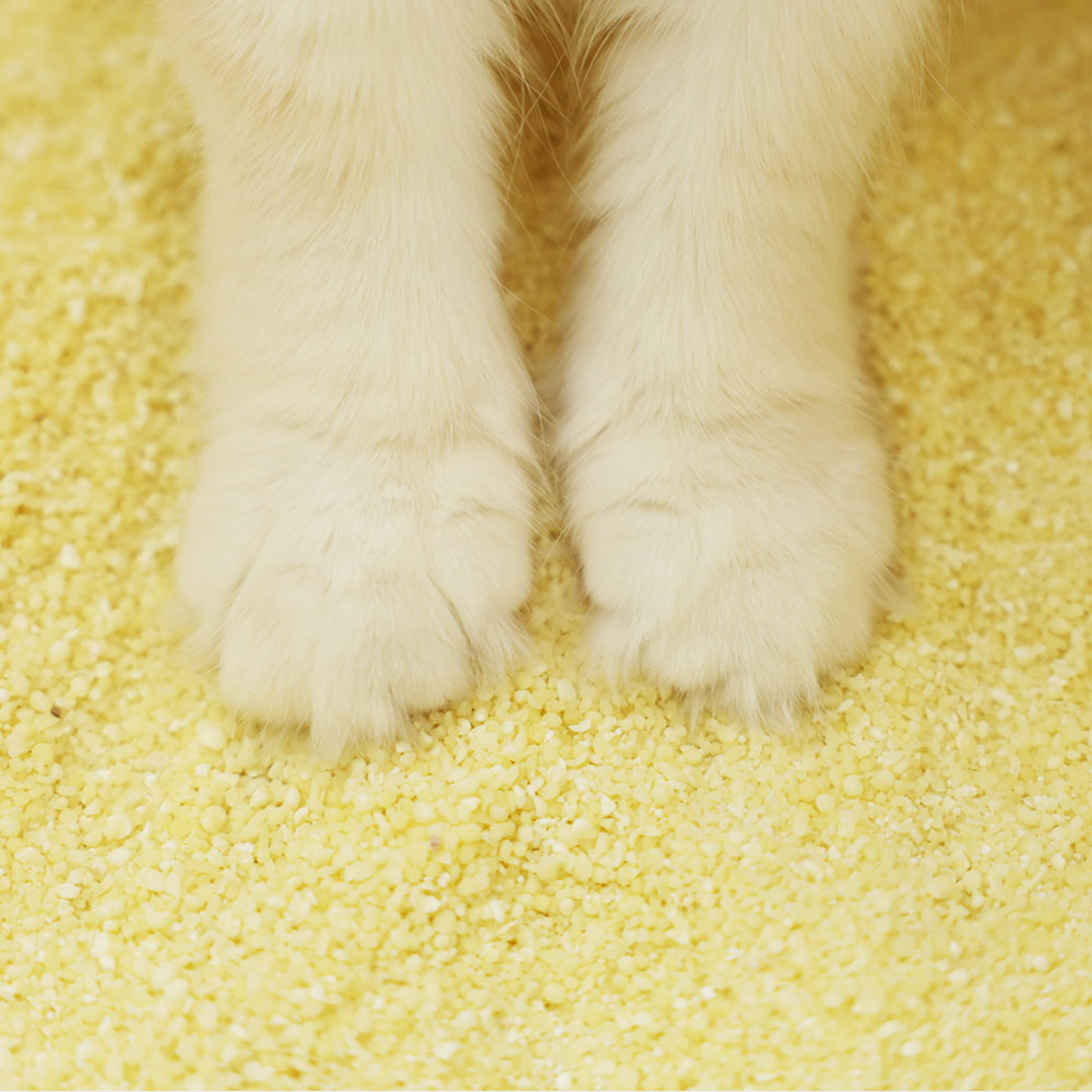 아메리칸솔루션 최고급 브라질산 카사바 먼지없는 고양이모래 옵티멈, 6kg, 2개 상세 이미지 4
