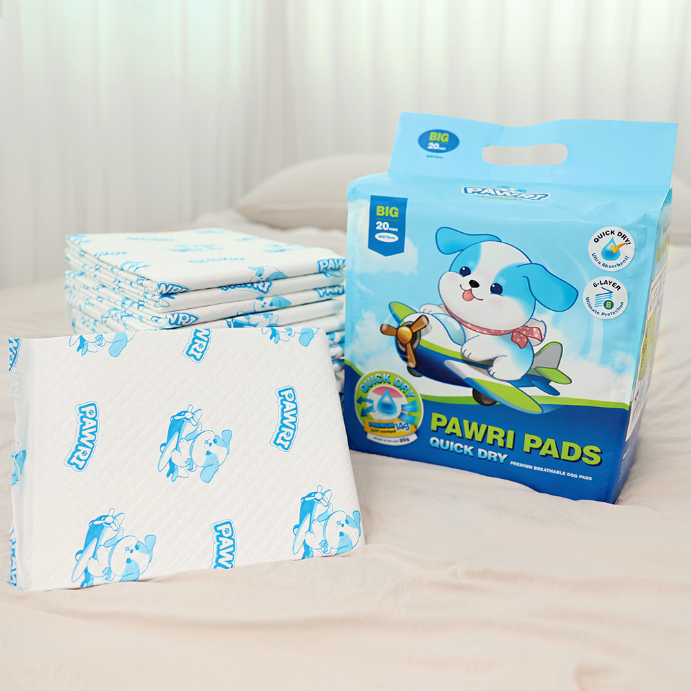 포우리 퀵드라이 고흡수 배변패드 큰패드 논슬립 두꺼운 대형, 20매입, 3개 상세 이미지 2