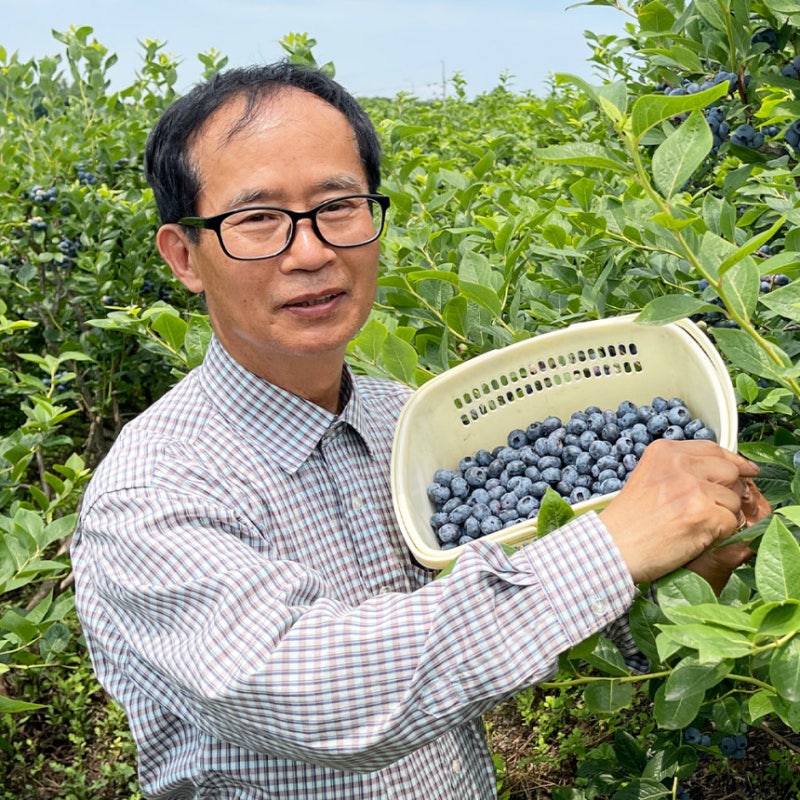 국산 유기농 친환경 블루베리 가격보다 먼저 볼 기준