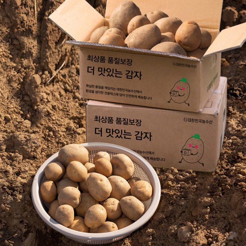 제철 햇 감자 수미 3kg 5kg 국내산 구매 전 꼭 확인하세요