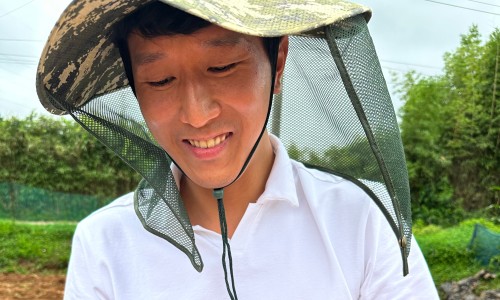 26년 감자 두백감자 수미 결제 전 한 번 더 볼 부분