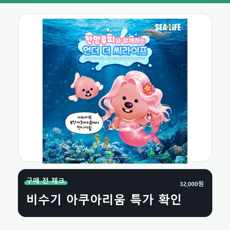 특가 비수기 아쿠아리움 입장권 구매 전 딱 이것만 확인