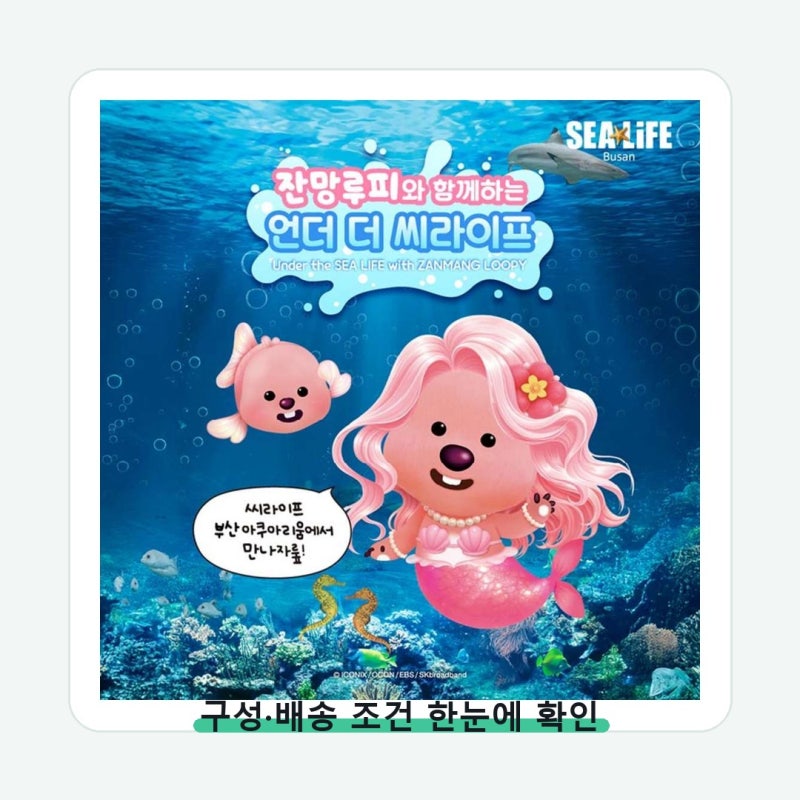 특가 비수기 아쿠아리움 입장권 구매 전 딱 이것만 확인