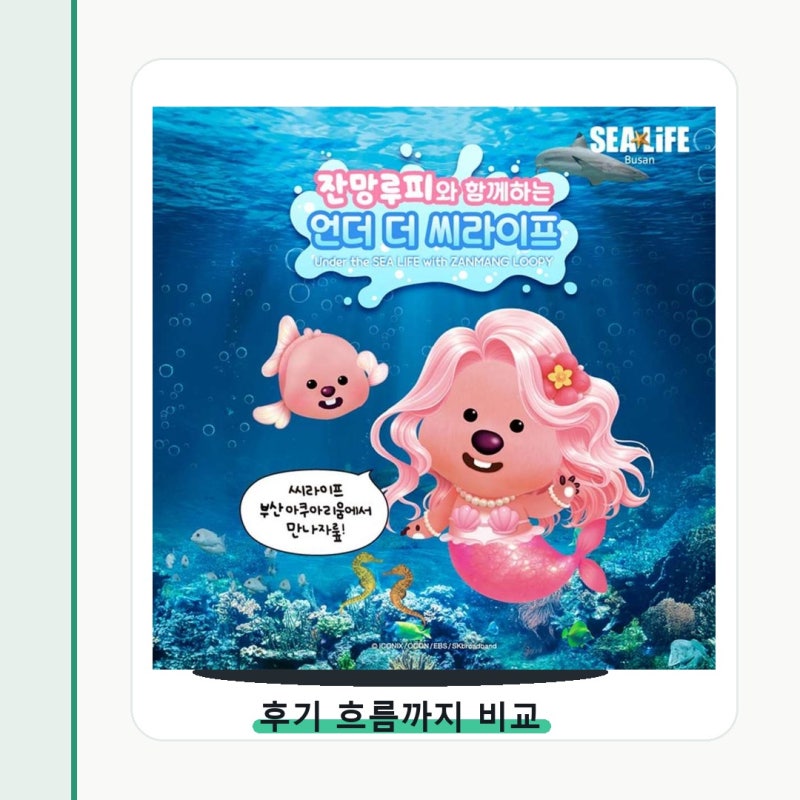 특가 비수기 아쿠아리움 입장권 구매 전 딱 이것만 확인