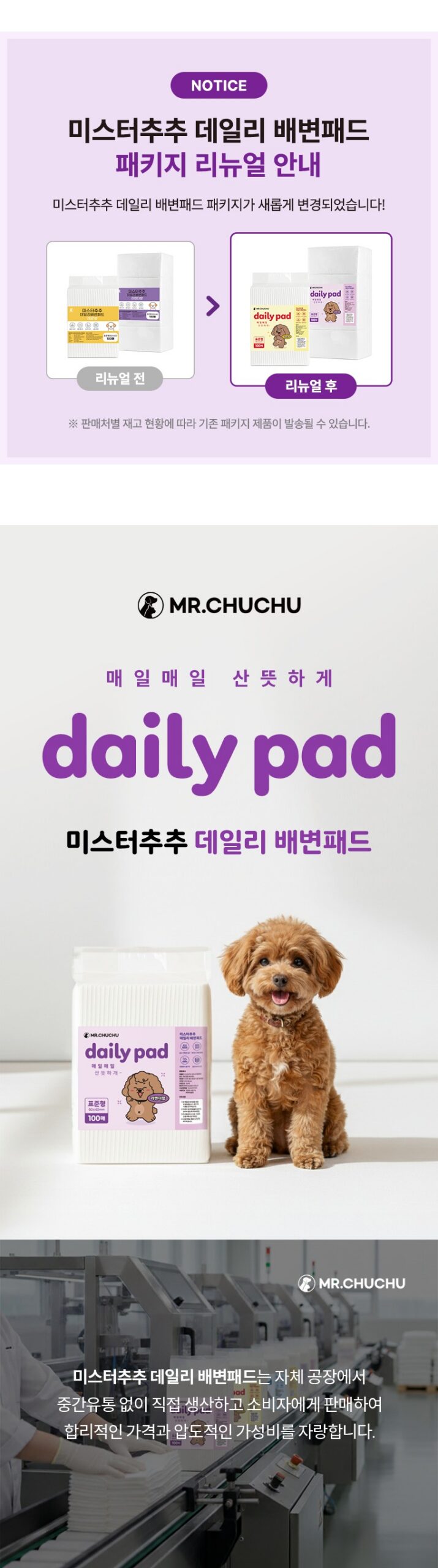 미스터추추 데일리 배변패드, 살림 20년 주부가 매일 갈아 쓰며 본 점 4