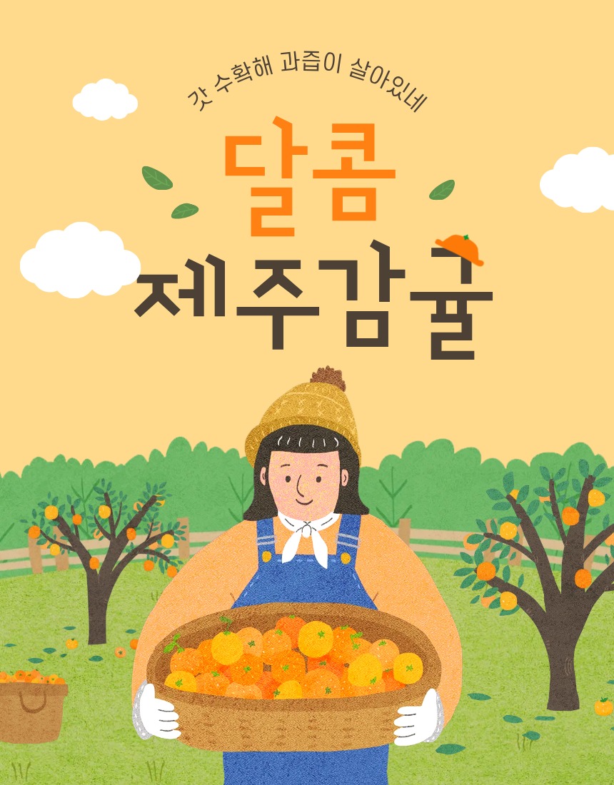 제주 서귀포 감귤 5kg, 13,500원에 고르기 전 딱 4가지만 2
