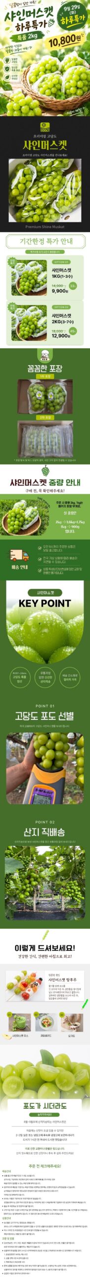 프로프룻 샤인머스켓, 2kg 10,800원에서 먼저 볼 네 가지 2