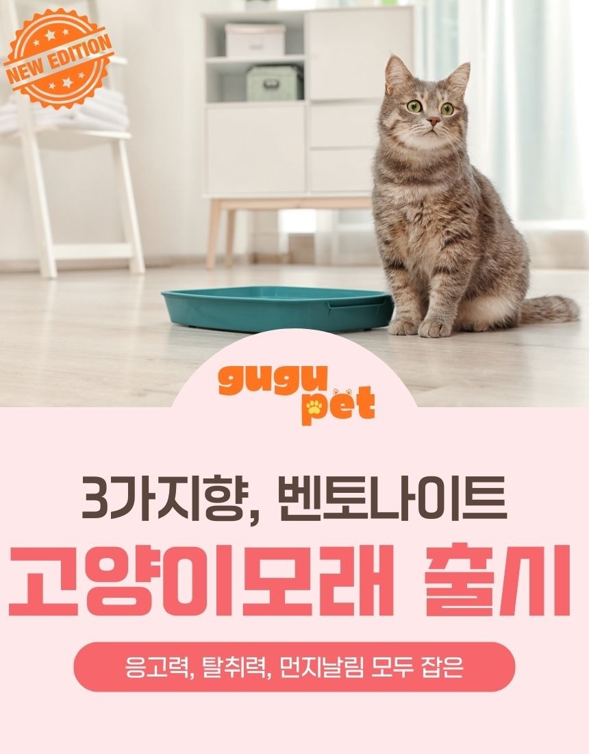 구구펫 마일드 벤토나이트 고양이모래, 살림 20년 주부가 담백하게 본 6kg 3개 구성 4