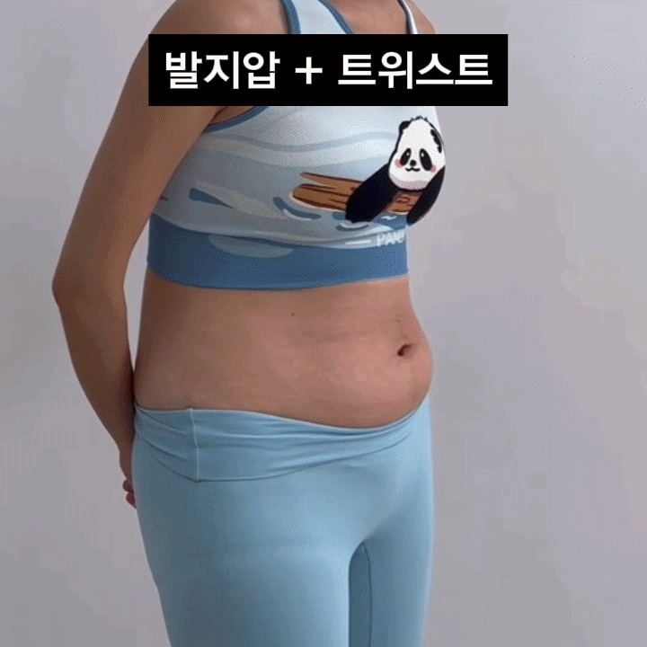 다이어트 트위스트 36x36x4cm, 집에 둘 자리부터 따져보게 되네요 3