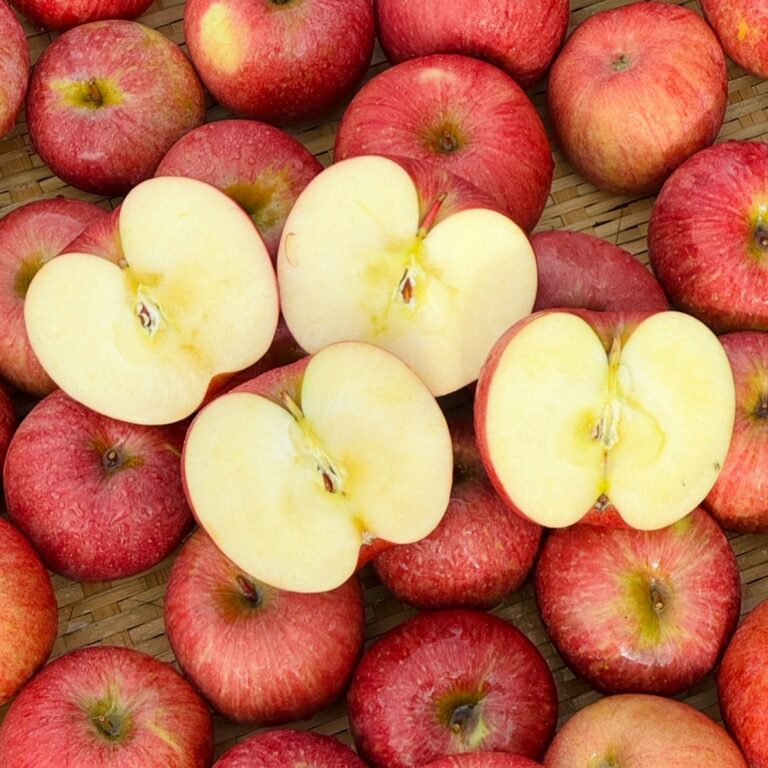 한입과득 청송 홍로 사과, 처음 고를 때는 2kg 구성부터 살펴보세요