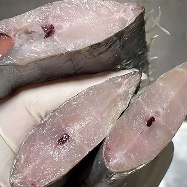 토막 4지급 갈치 살림 20년 차 주부가 구워보고 솔직하게 말씀드려요 2