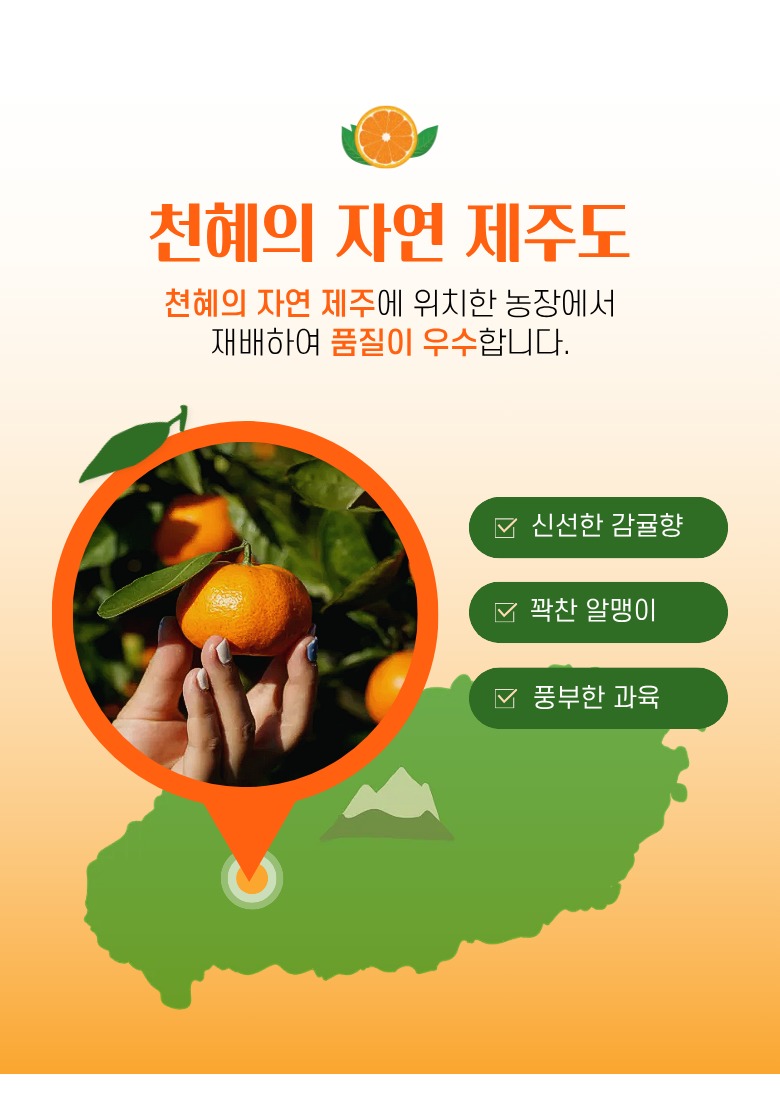 제주 서귀포 감귤 5kg, 13,500원에 고르기 전 딱 4가지만 5