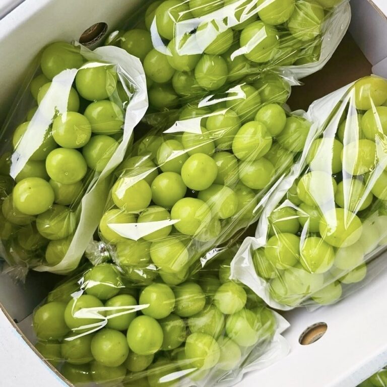 프로프룻 샤인머스켓, 2kg 10,800원에서 먼저 볼 네 가지