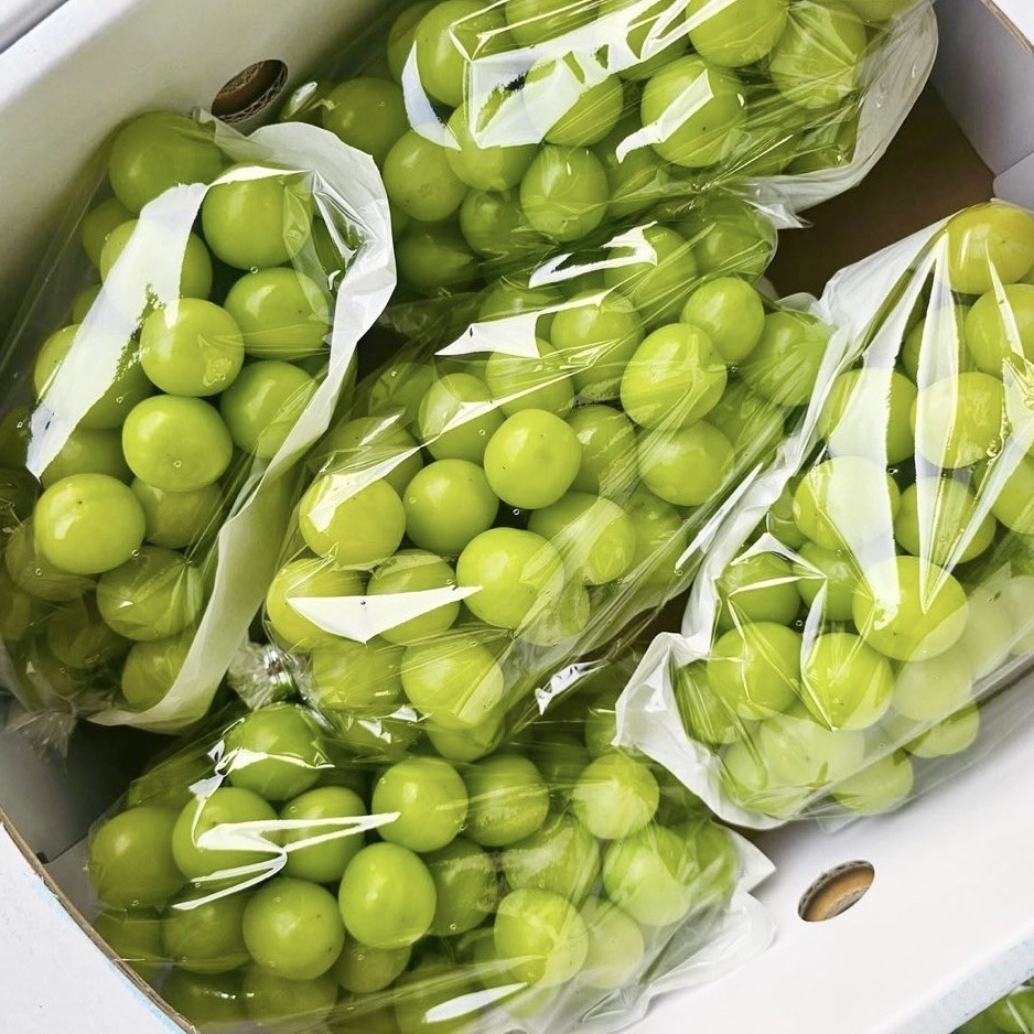 프로프룻 샤인머스켓, 2kg 10,800원에서 먼저 볼 네 가지