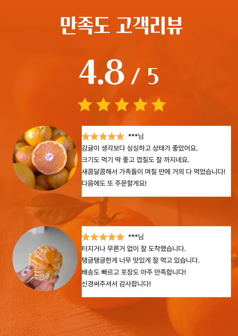 제주 서귀포 감귤 5kg, 13,500원에 고르기 전 딱 4가지만 4