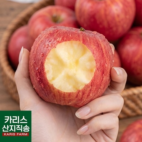 고당도 홍옥사과 농가직송 가정용, 1kg 가격과 구매 전 확인할 기준