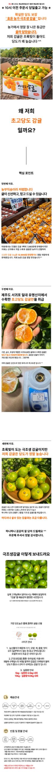 제주 서귀포 감귤 12brix 초고당도 5kg, 소중한 분께 보낼 비타민 선물로 어떠세요? 2