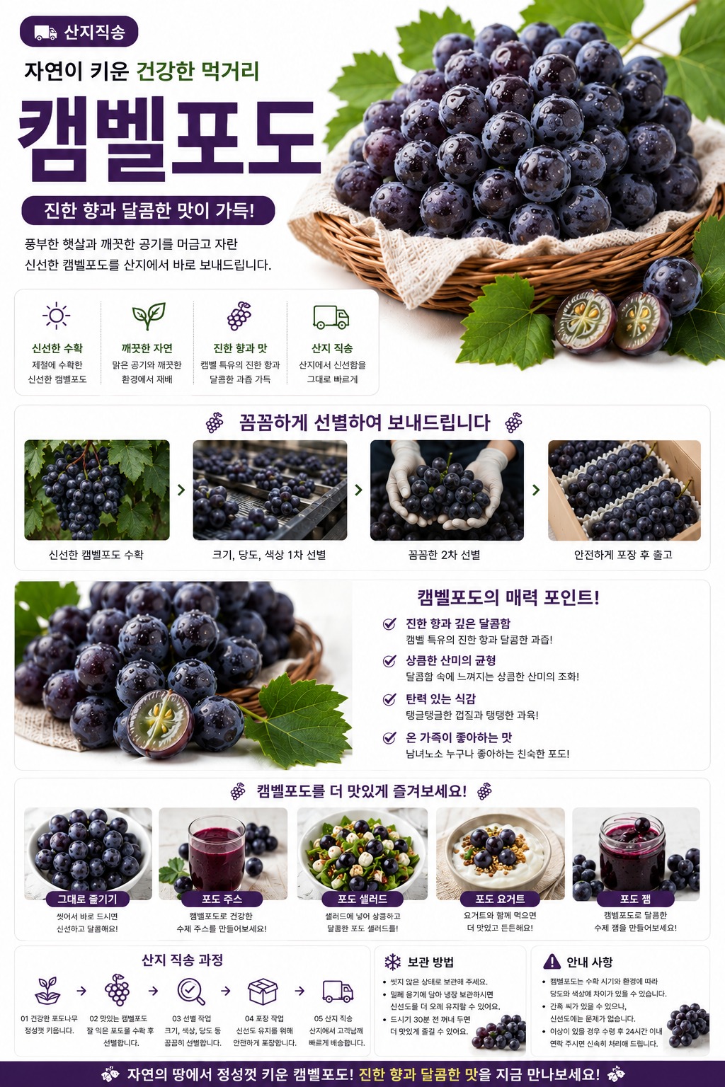 이모뜰 국내산 캠벨포도, 부담 없는 가격으로 따뜻한 마음을 전해볼까요? 4
