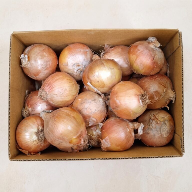 전남 무안 햇양파 특대 5kg, 부모님 댁에 보내드리면 칭찬받는 달큰한 제철 선물