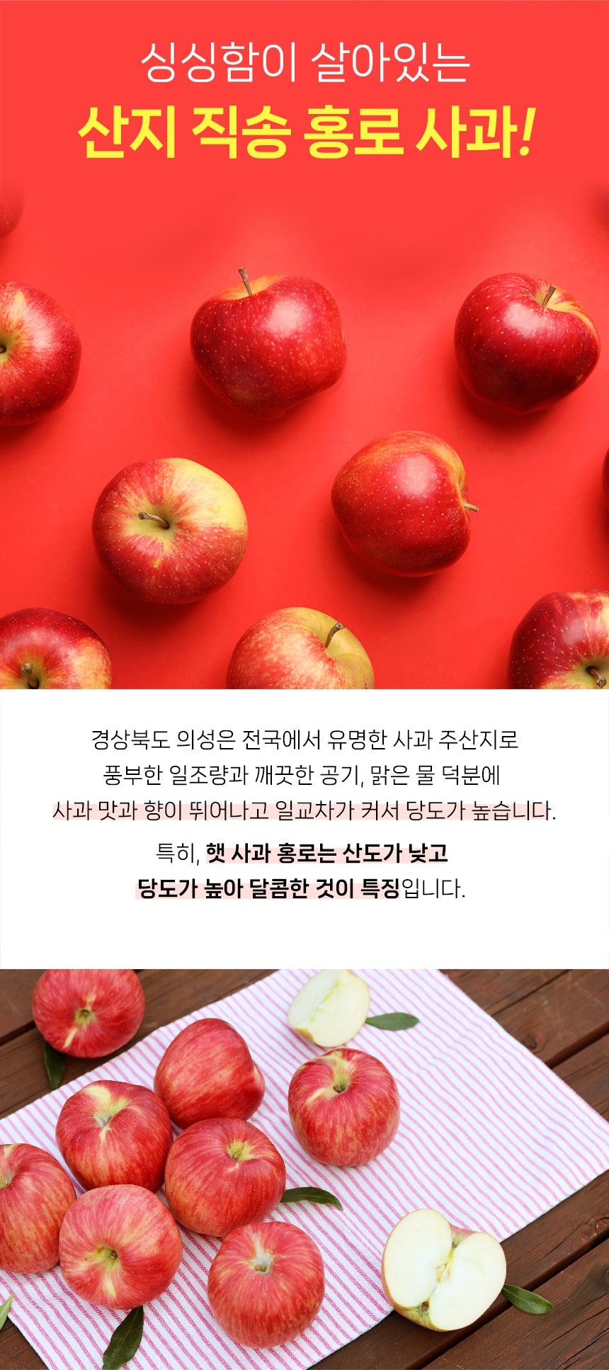 햇 홍로사과 5kg 구성 분석과 구매 전 확인해야 할 기준 5