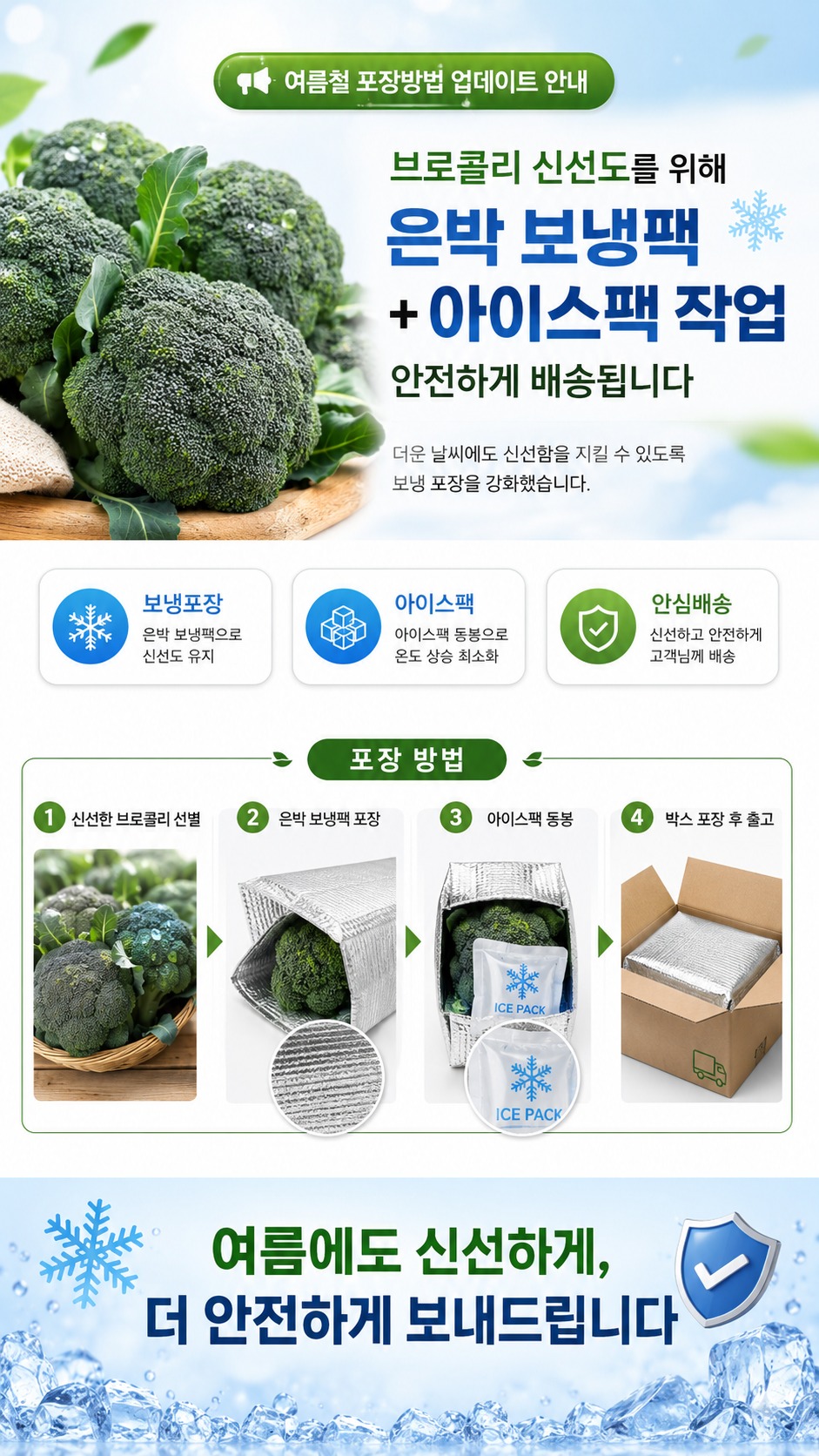 대박농수산 제주 햇 브로콜리 특품 1kg 1박스 솔직 비교 및 스펙 점검 5