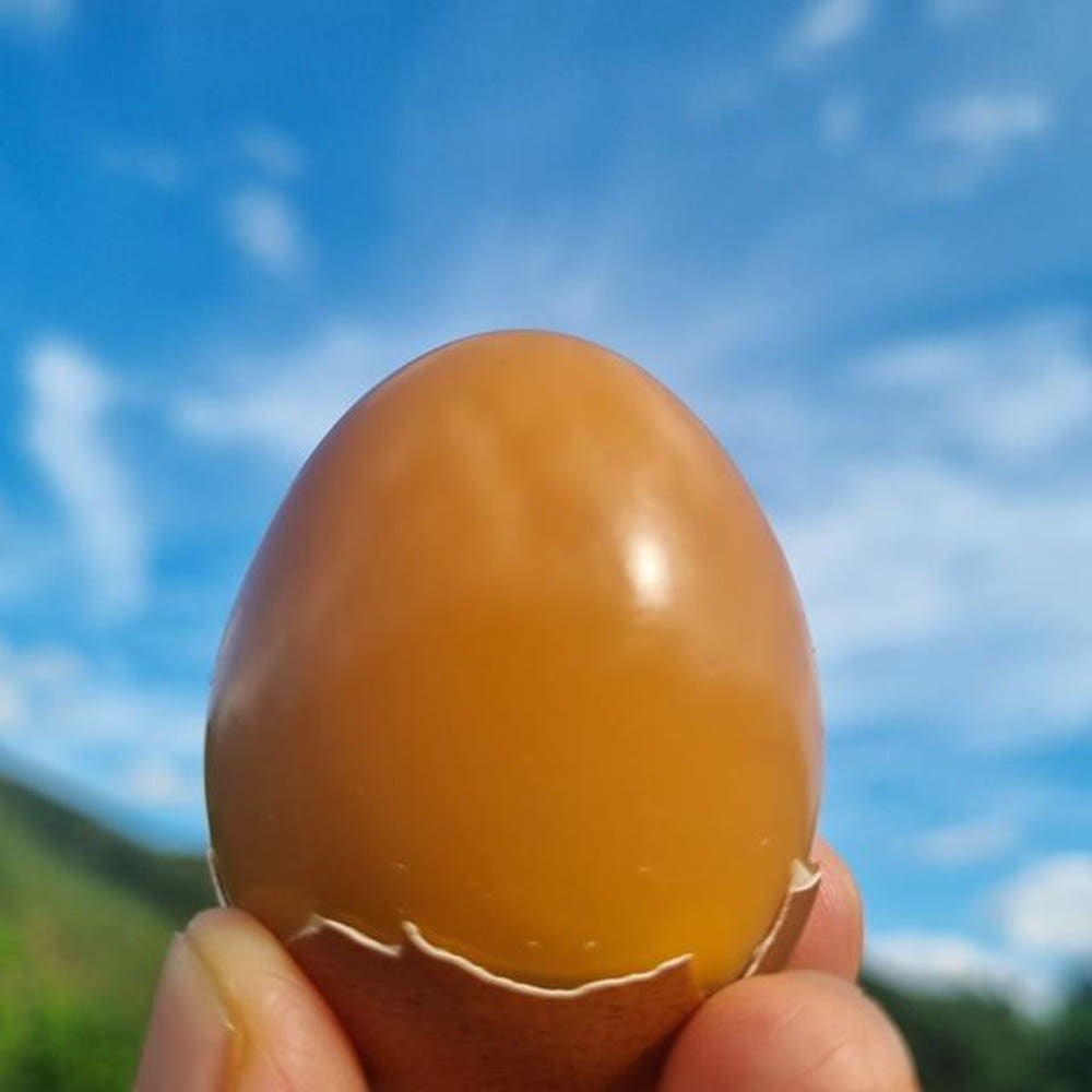 아라솔 구운란 대란 60구 장만 전 확인할 점 2