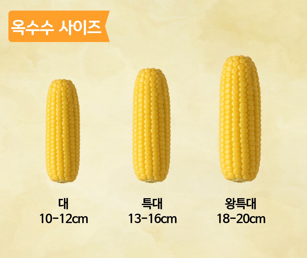 무첨가 냉동 찐 찰옥수수 특대 규격과 보관 전 점검 사항 4