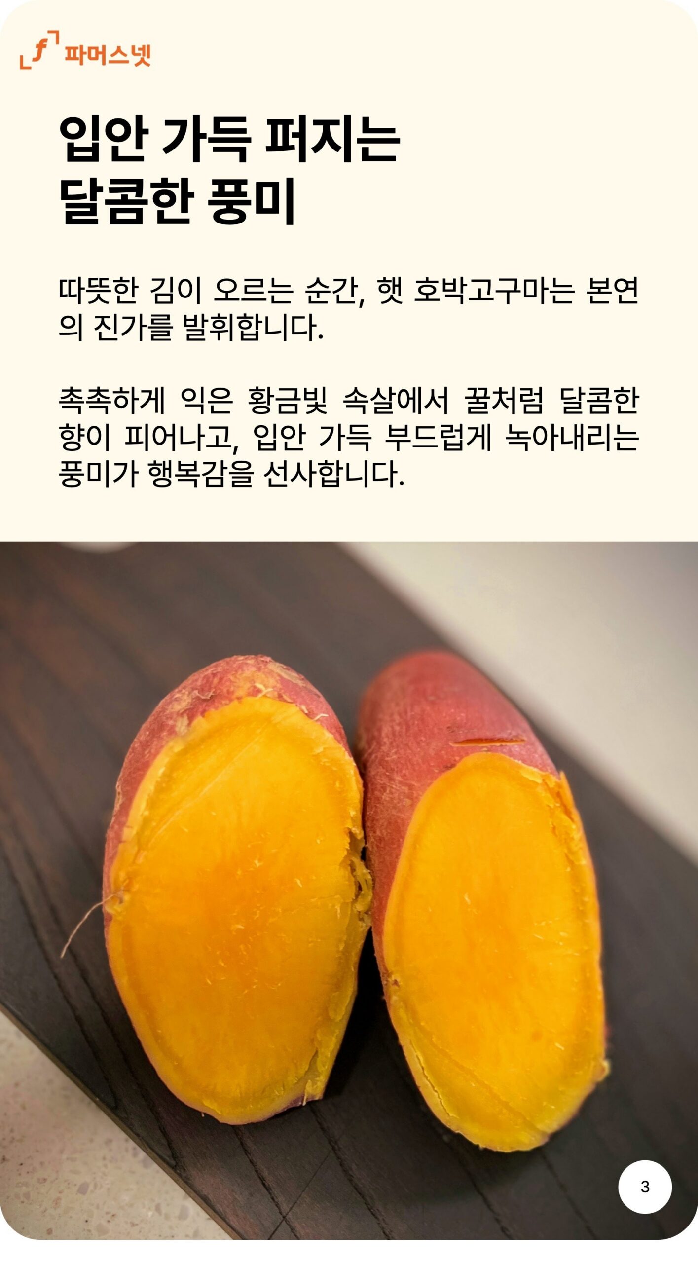 파머스넷 호박고구마 한입 5kg 구매 전 확인해야 할 3가지 기준 5