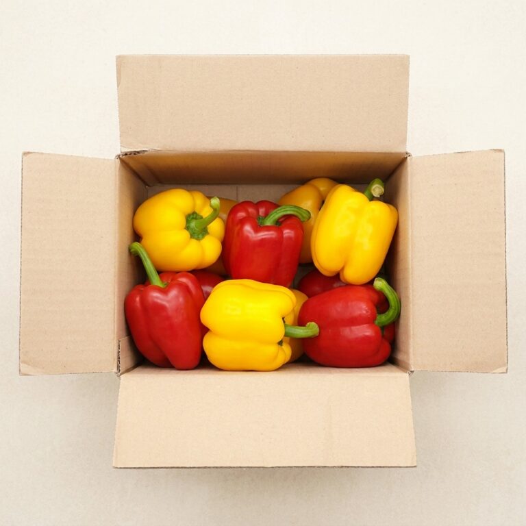 유알팜 국내산 못난이 파프리카, 20년 차 주부가 샐러드용으로 직접 사보고 반한 솔직 후기