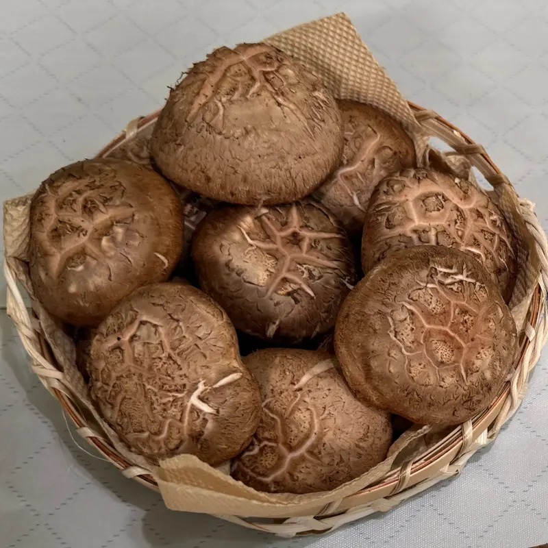 국내산 표고버섯 1kg 직접 받아보고 된장찌개 끓여본 솔직한 후기 2