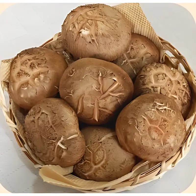 국내산 표고버섯 1kg 직접 받아보고 된장찌개 끓여본 솔직한 후기 3