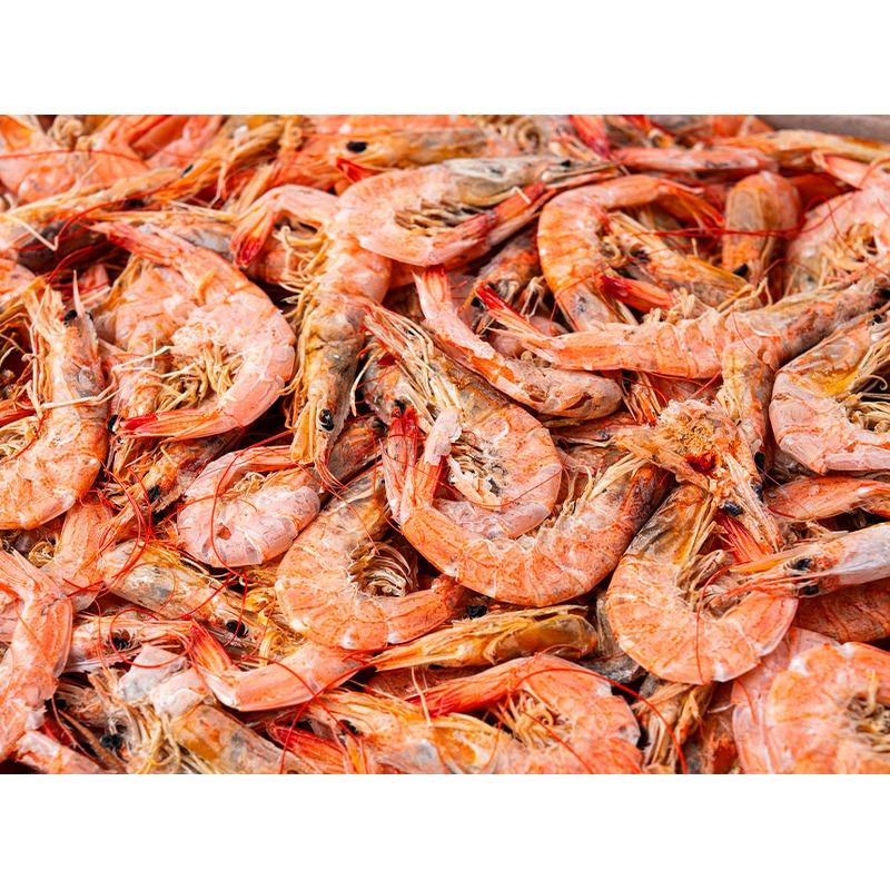 어가찬 중하 건새우 1.5kg 대용량 구성과 식자재 활용 가치 점검 4