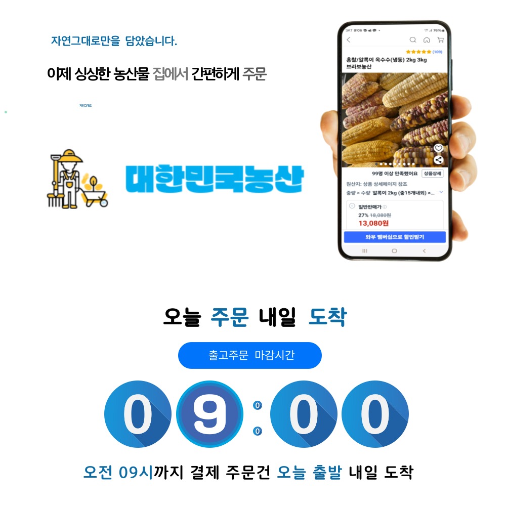 대한민국농수산 사각 옥수수술빵 한 봉지 2천원 꼴 든든한 짠테크 간식 쟁여두기 5