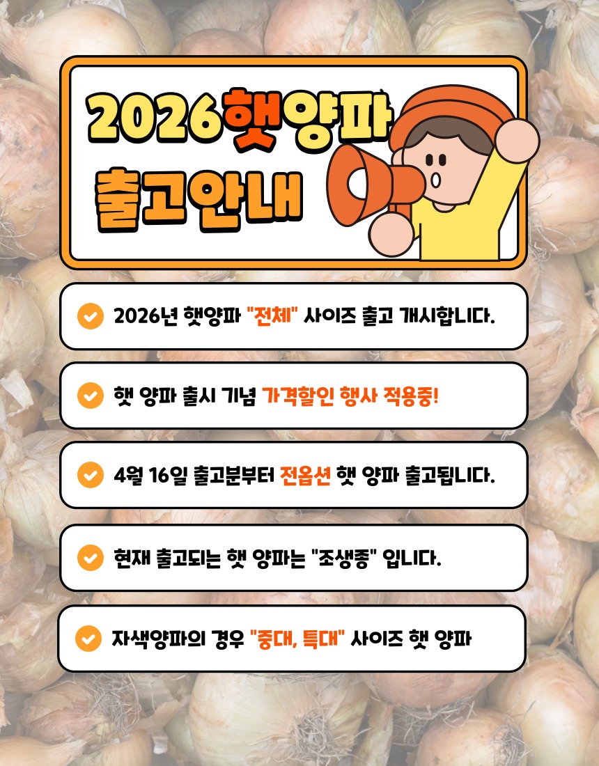 전남 무안 햇양파 특대 5kg, 부모님 댁에 보내드리면 칭찬받는 달큰한 제철 선물 3