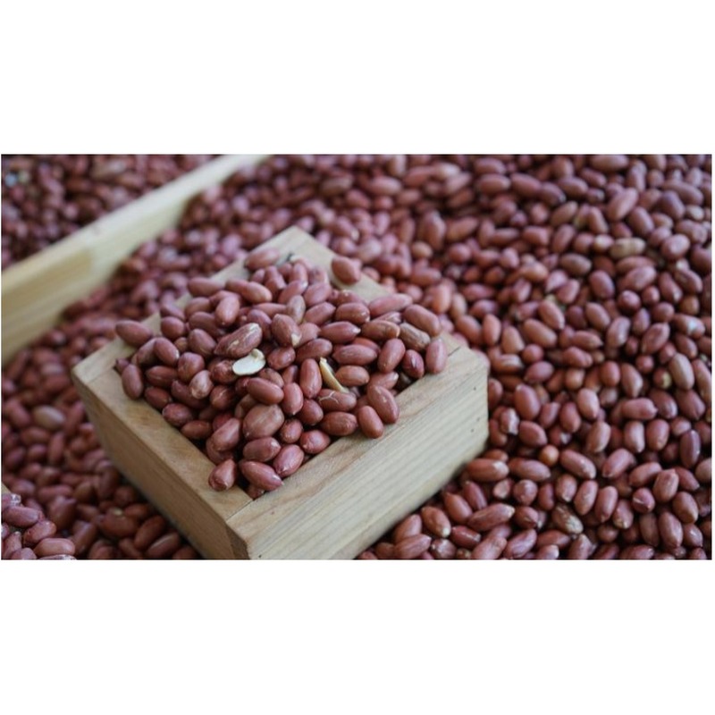 볶은 레드땅콩 500g 4봉 12880원 알뜰 장보기 전 체크 포인트 4